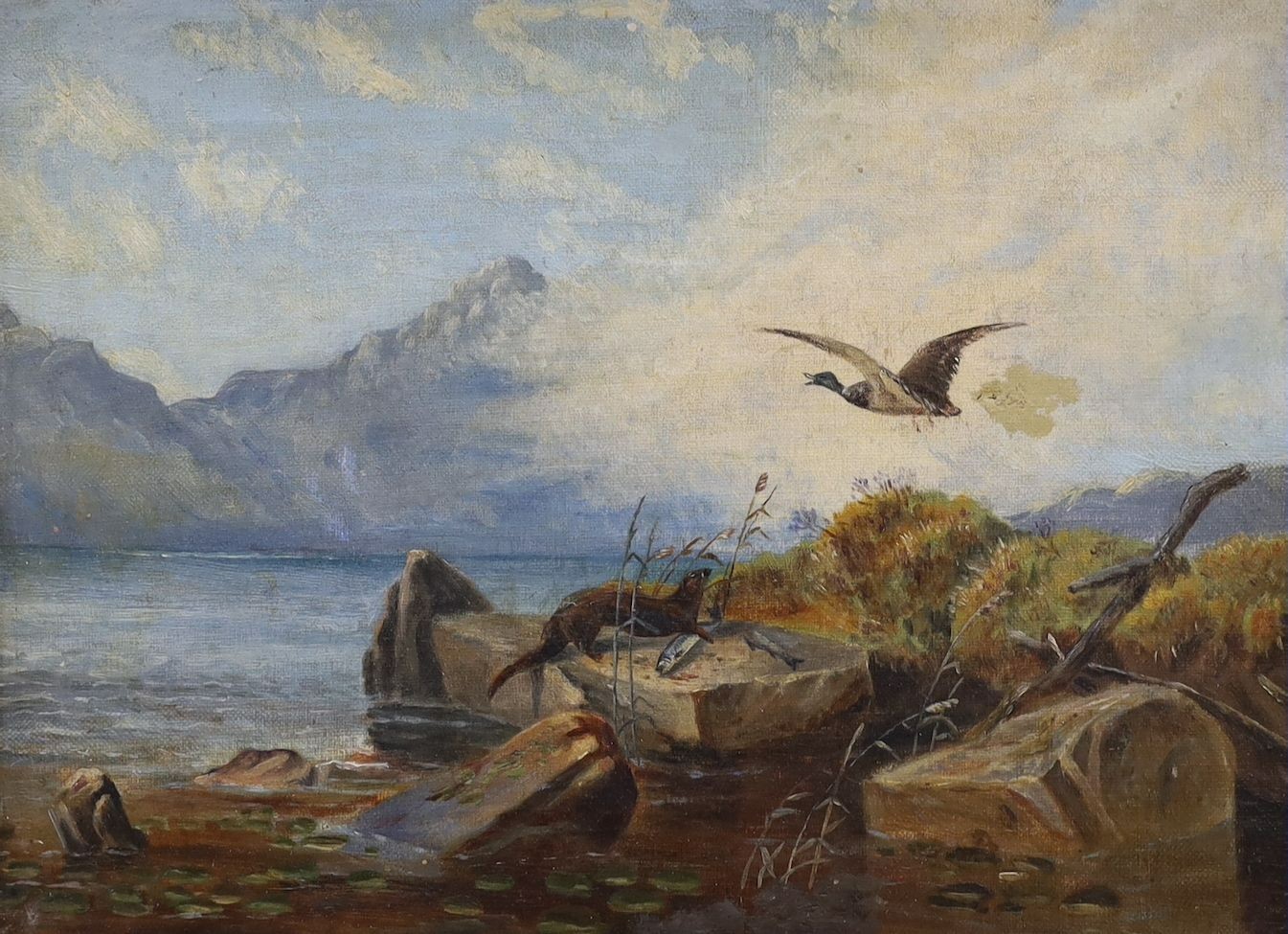 Victorian School, oil on canvas, Otter and duck beside a loch, 30 x 40cm